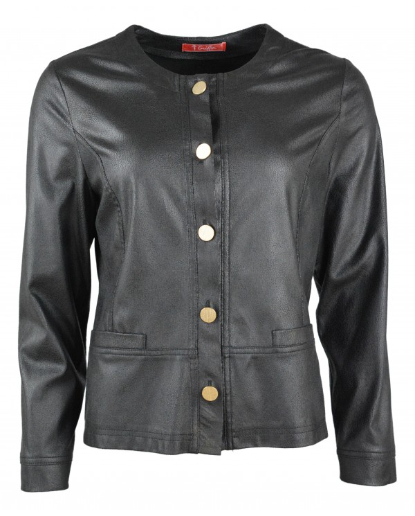 Veste Griffon Veste Griffon
