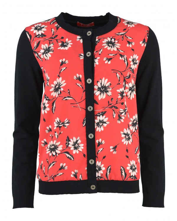 Cardigan Griffon Cardigan Griffon
