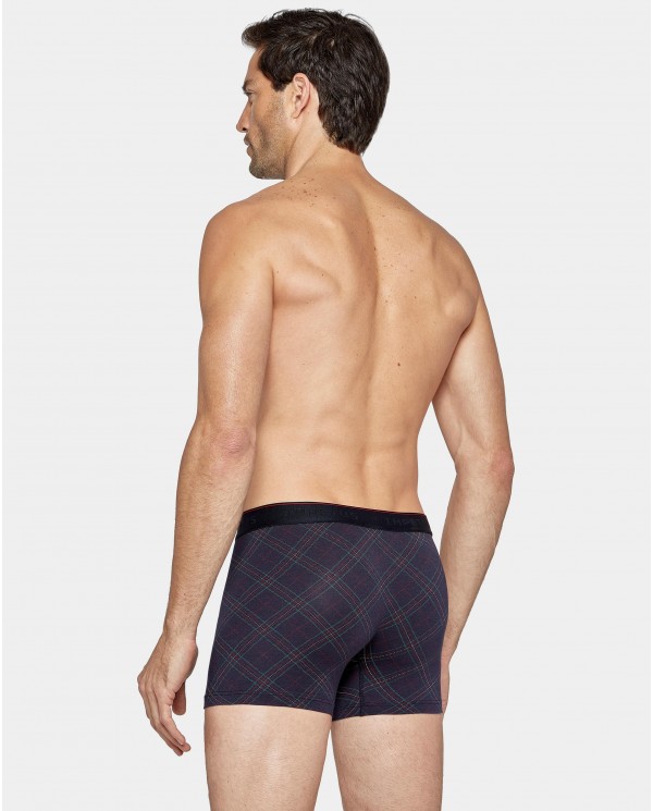 Boxer Impetus  Boxer Impetus